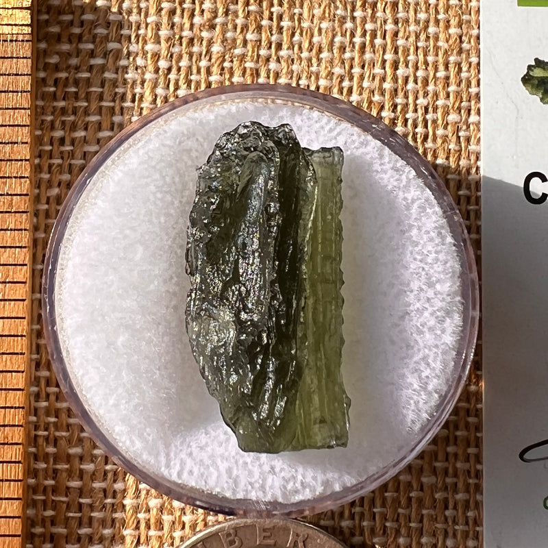 Moldavite 2.9 grams #2188-Moldavite Life
