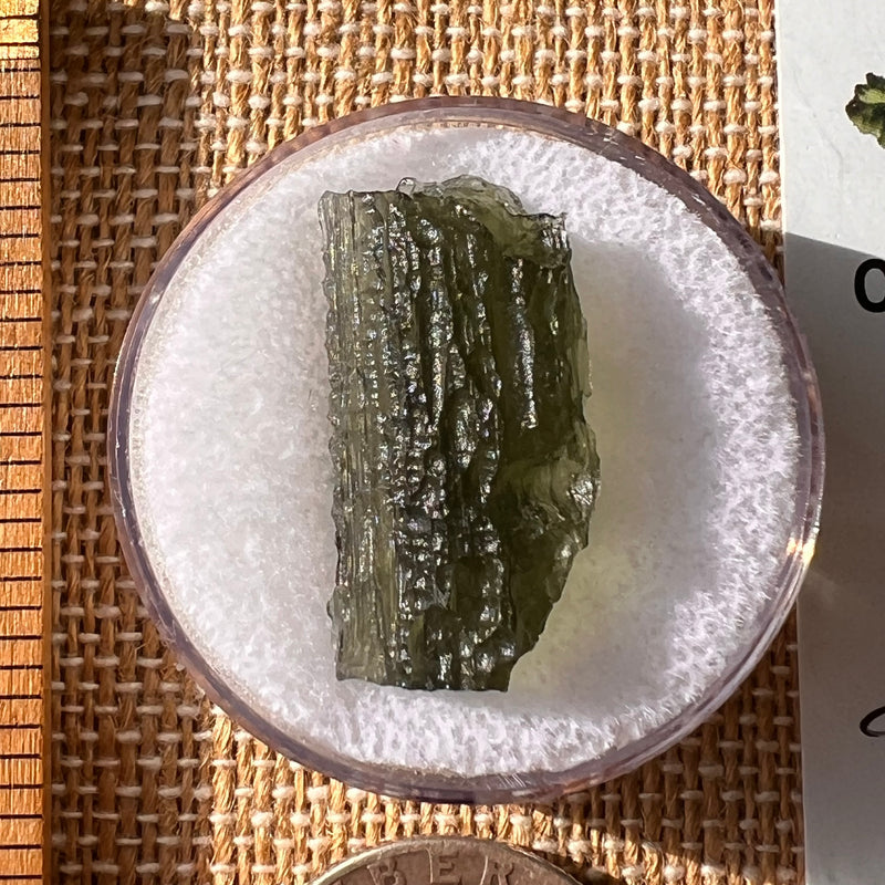 Moldavite 2.9 grams #2188-Moldavite Life