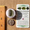 Moldavite 2.9 grams #2188-Moldavite Life