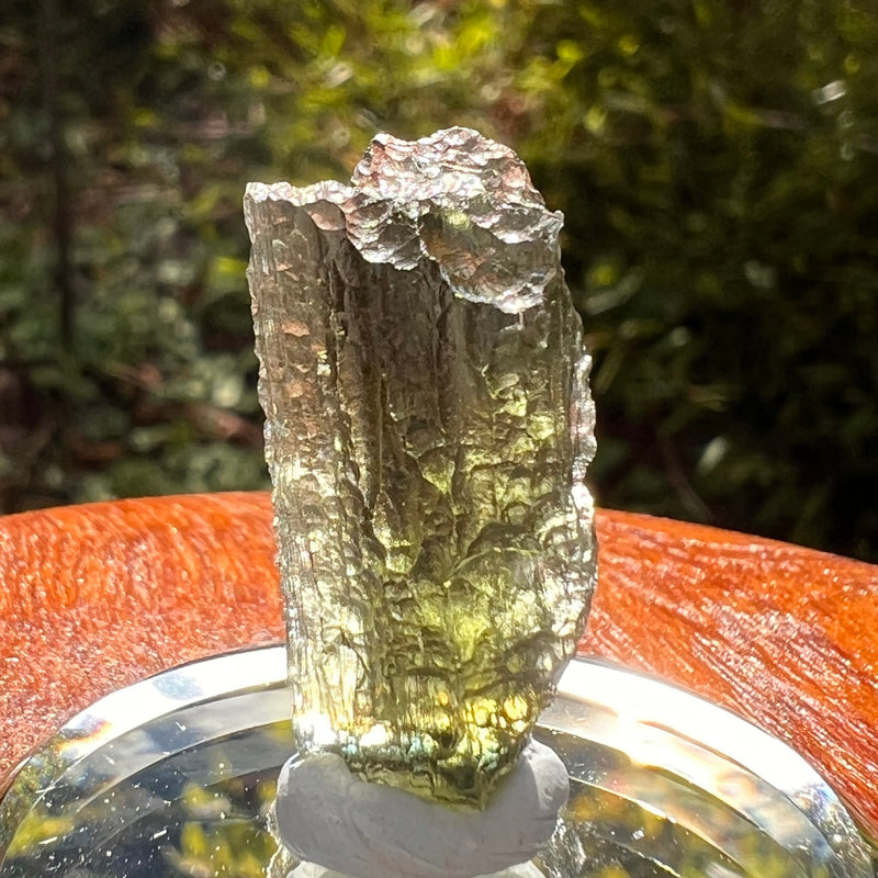 Moldavite 2.9 grams #2188-Moldavite Life