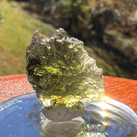 Moldavite 2.9 grams #2376-Moldavite Life