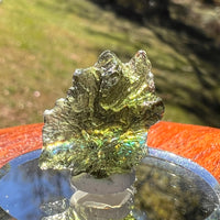 Moldavite 2.9 grams #2376-Moldavite Life