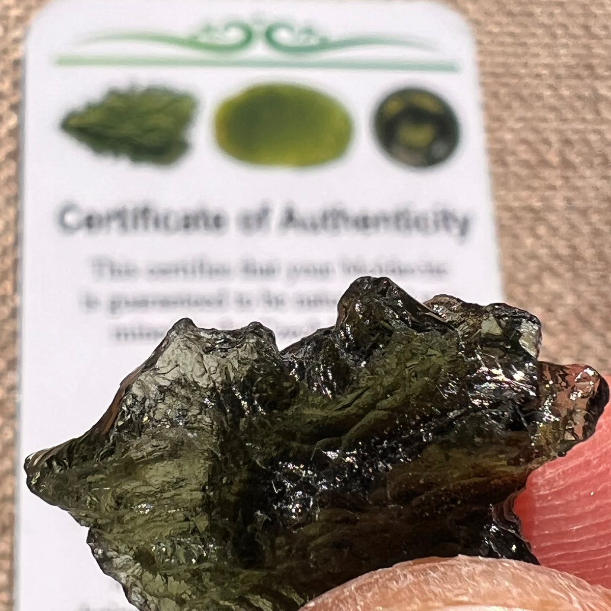 Moldavite 2.9 grams #2376-Moldavite Life