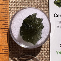 Moldavite 2.9 grams #2376-Moldavite Life