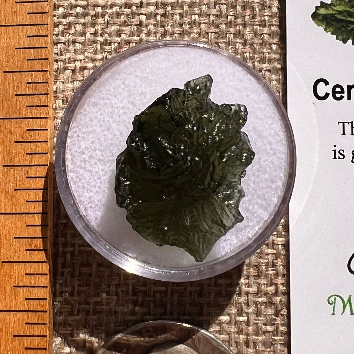 Moldavite 2.9 grams #2376-Moldavite Life