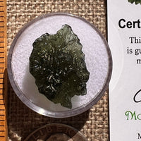 Moldavite 2.9 grams #2376-Moldavite Life