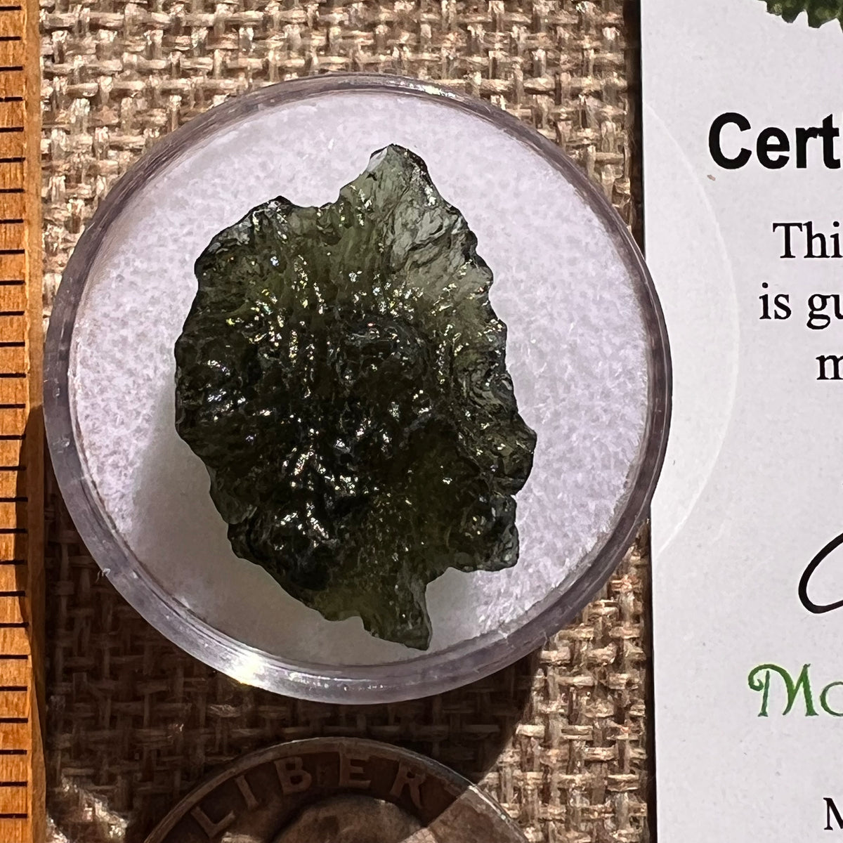 Moldavite 2.9 grams #2376-Moldavite Life