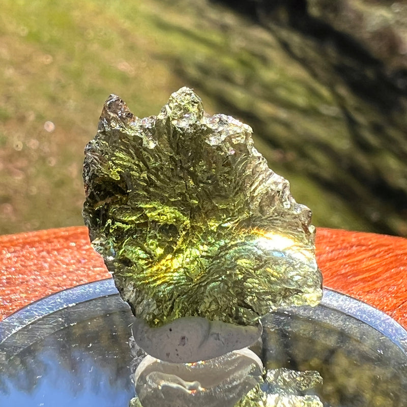 Moldavite 2.9 grams #2376-Moldavite Life