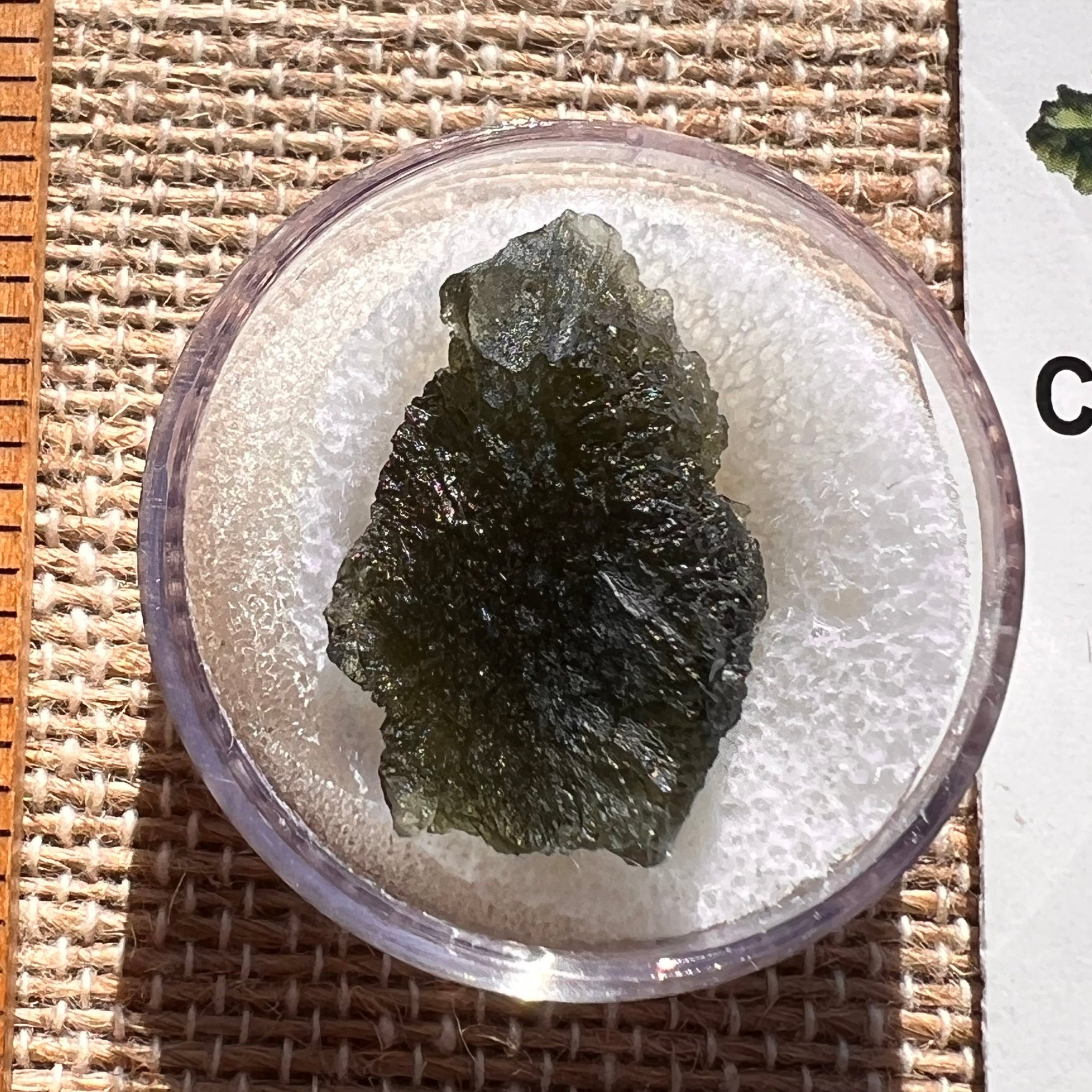 Moldavite 3 grams #1978-Moldavite Life