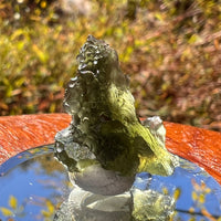 Moldavite 3 grams #2307-Moldavite Life