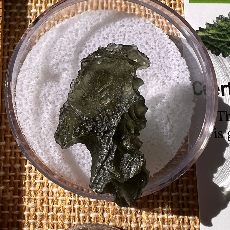 Moldavite 3 grams #2307-Moldavite Life