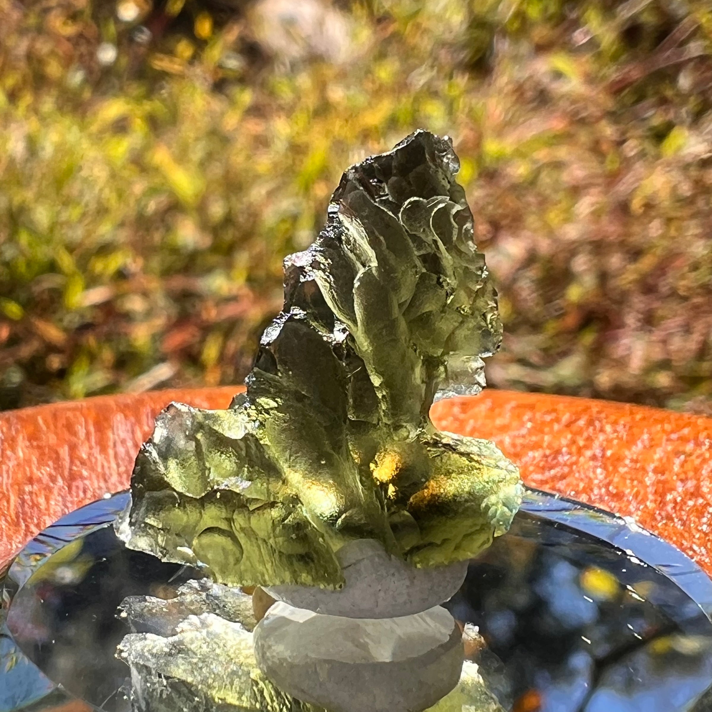 Moldavite 3 grams #2307-Moldavite Life