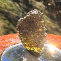 Moldavite 3.1 grams #2396-Moldavite Life