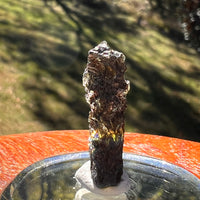 Moldavite 3.1 grams #2396-Moldavite Life