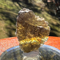 Moldavite 3.1 grams #2396-Moldavite Life