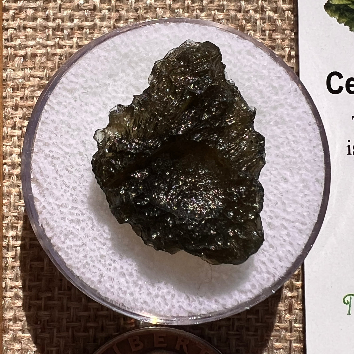 Moldavite 3.1 grams #2396-Moldavite Life