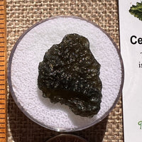 Moldavite 3.1 grams #2396-Moldavite Life