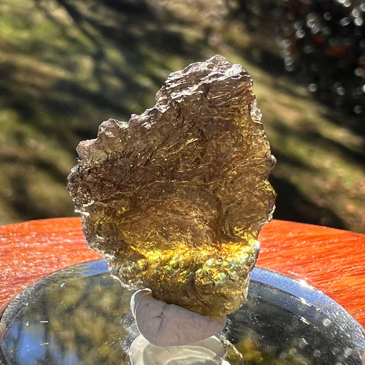 Moldavite 3.1 grams #2396-Moldavite Life