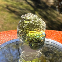 Moldavite 3.1 grams #2411-Moldavite Life