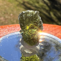 Moldavite 3.1 grams #2411-Moldavite Life