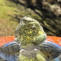 Moldavite 3.1 grams #2411-Moldavite Life