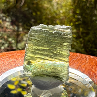 Moldavite 3.11 grams #2159-Moldavite Life