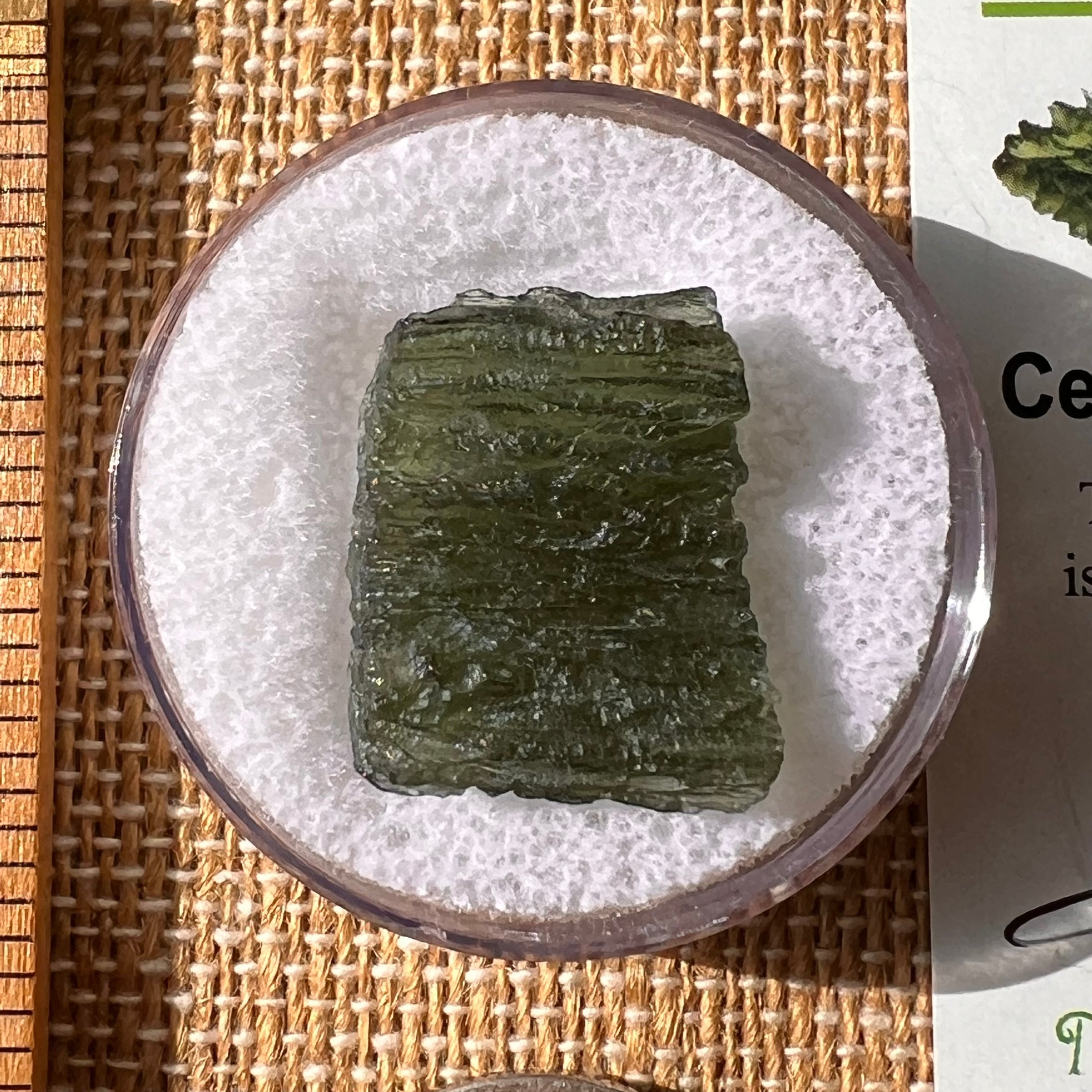 Moldavite 3.11 grams #2159-Moldavite Life