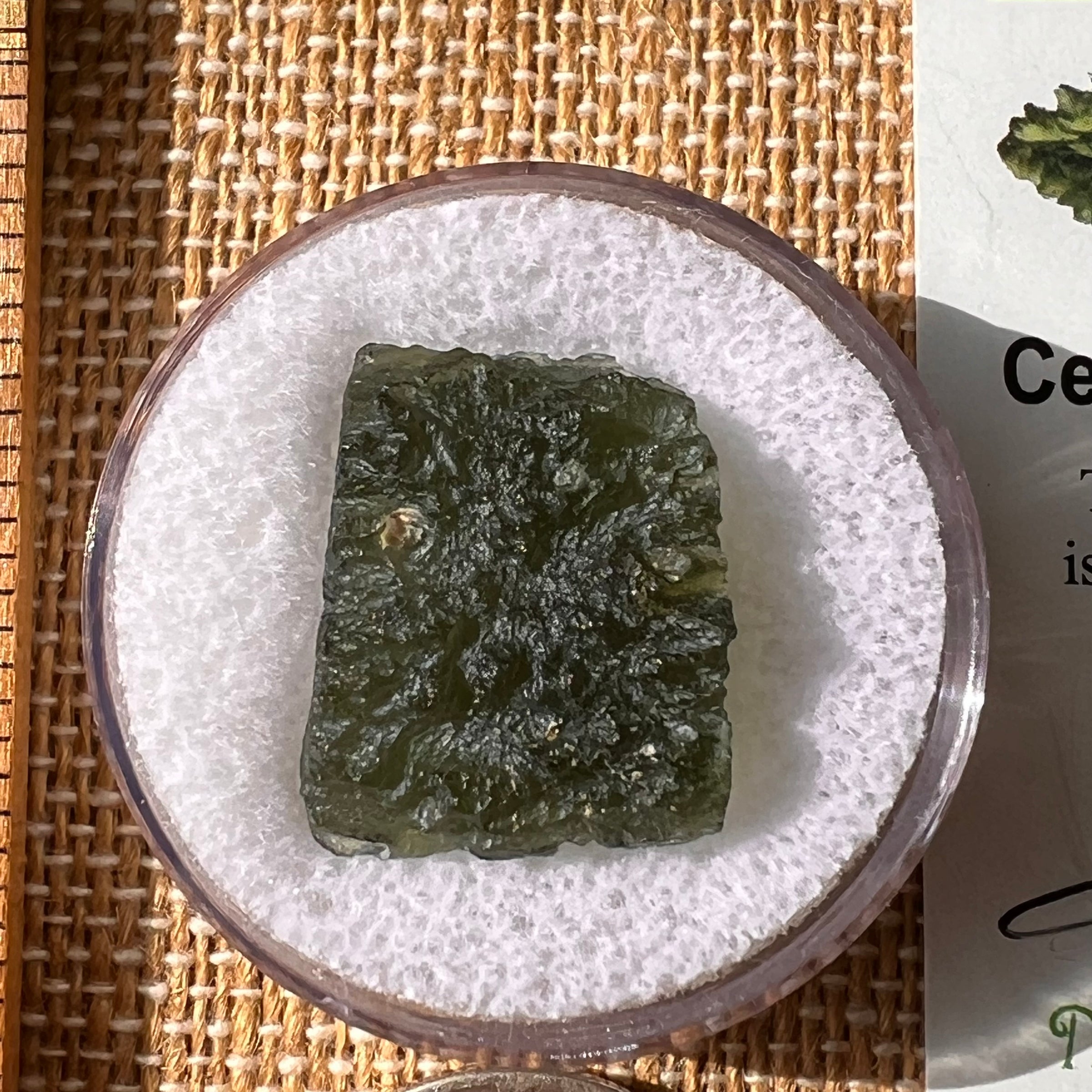 Moldavite 3.11 grams #2159-Moldavite Life