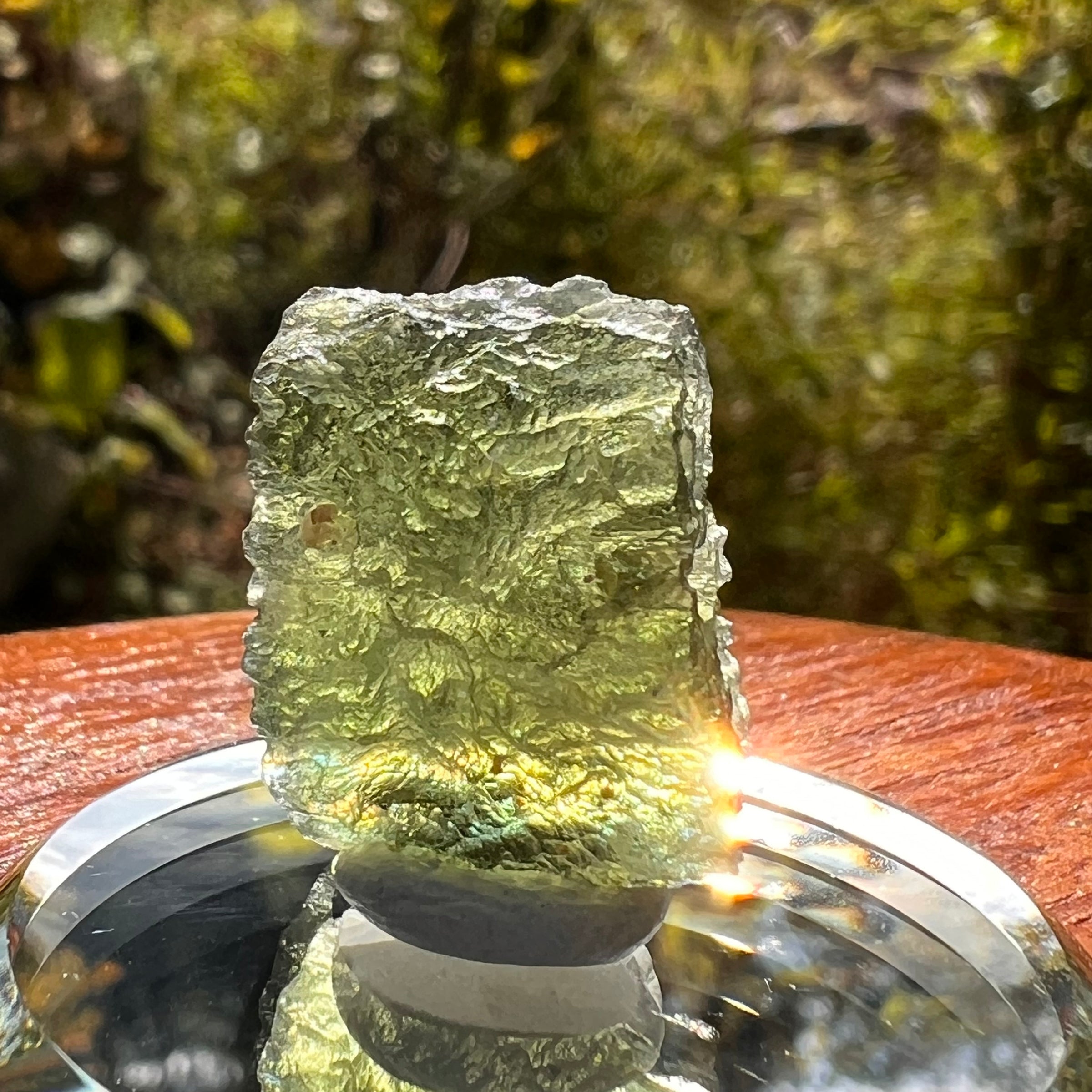 Moldavite 3.11 grams #2159-Moldavite Life