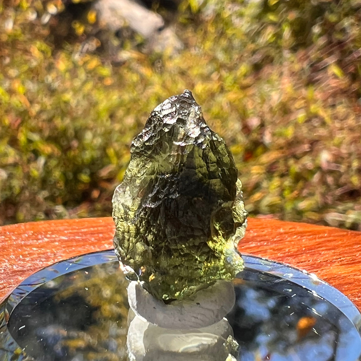 Moldavite 3.3 grams #2312-Moldavite Life