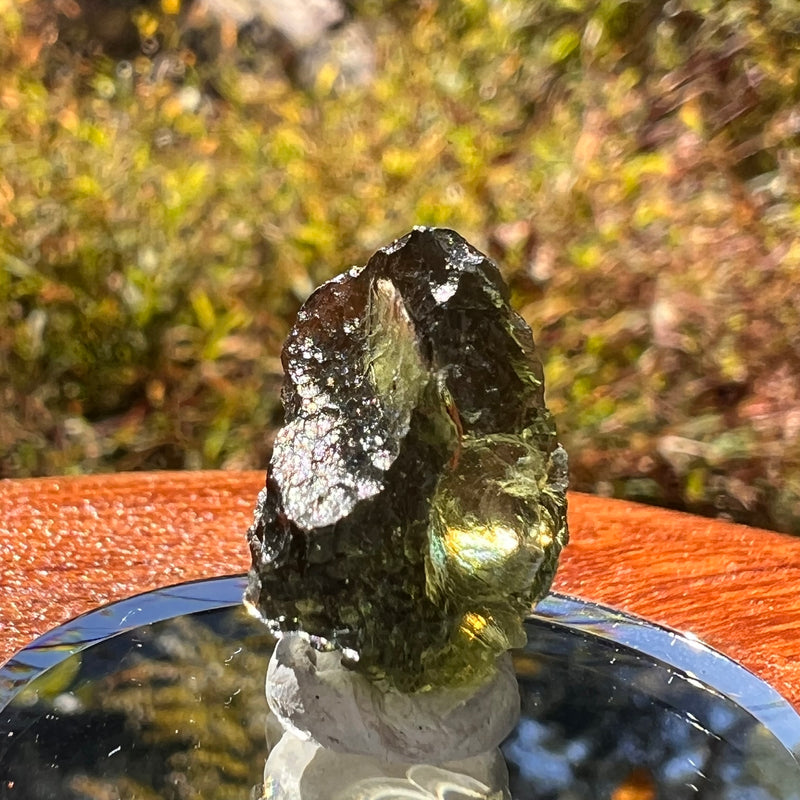 Moldavite 3.3 grams #2312-Moldavite Life