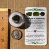 Moldavite 3.3 grams #2312-Moldavite Life