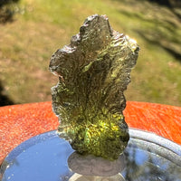 Moldavite 3.3 grams #2371-Moldavite Life