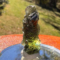 Moldavite 3.3 grams #2371-Moldavite Life