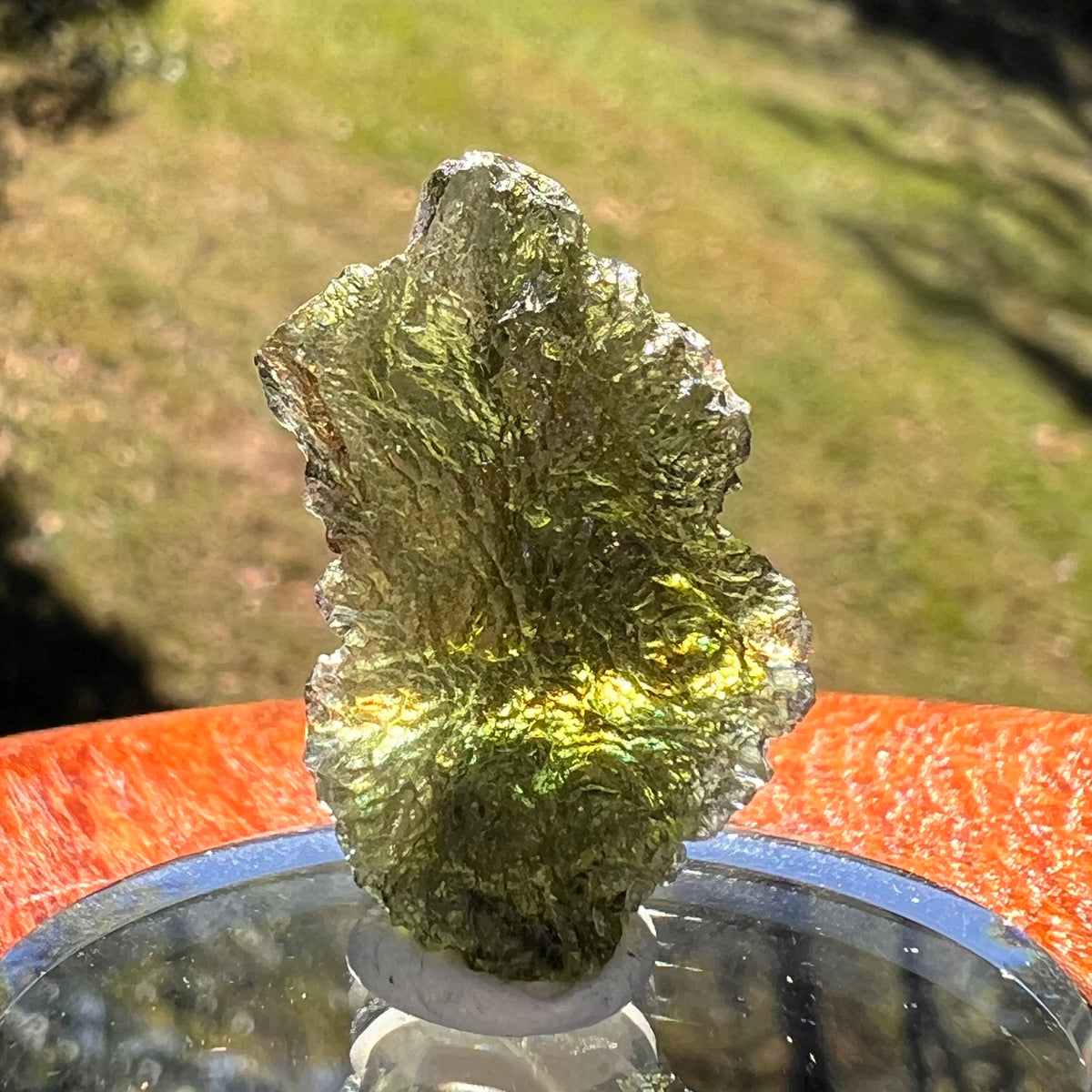 Moldavite 3.3 grams #2371-Moldavite Life