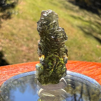 Moldavite 3.3 grams #2371-Moldavite Life