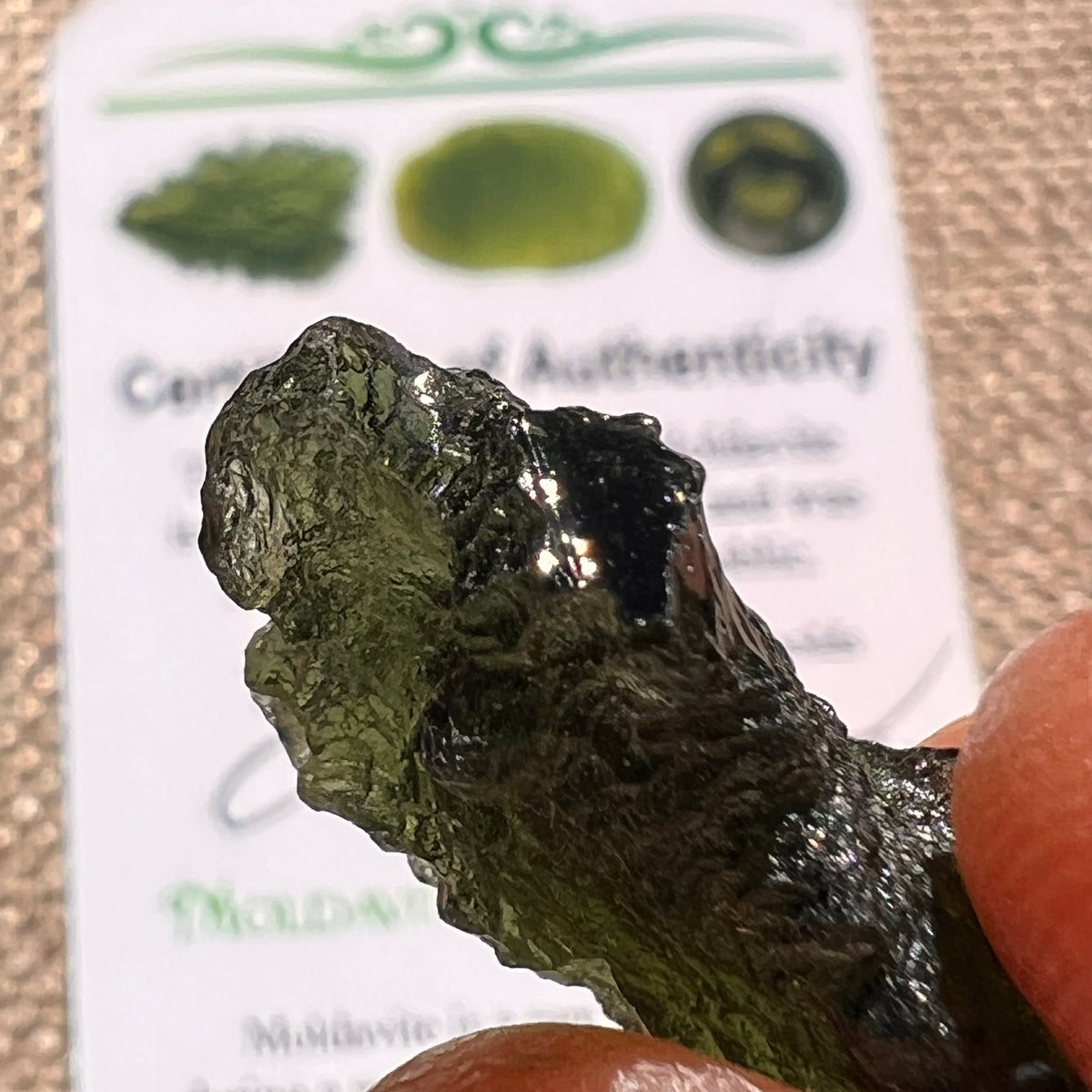 Moldavite 3.3 grams #2371-Moldavite Life