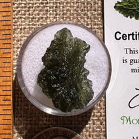 Moldavite 3.3 grams #2371-Moldavite Life