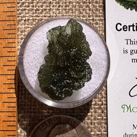 Moldavite 3.3 grams #2371-Moldavite Life