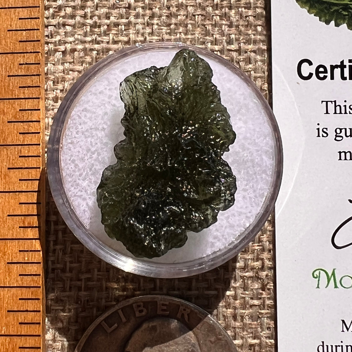 Moldavite 3.3 grams #2371-Moldavite Life