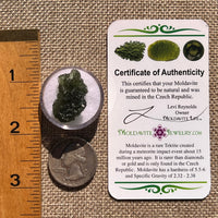 Moldavite 3.3 grams #2371-Moldavite Life