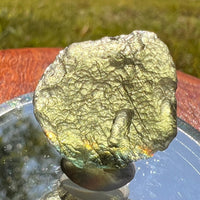 Moldavite 3.4 grams #1666-Moldavite Life