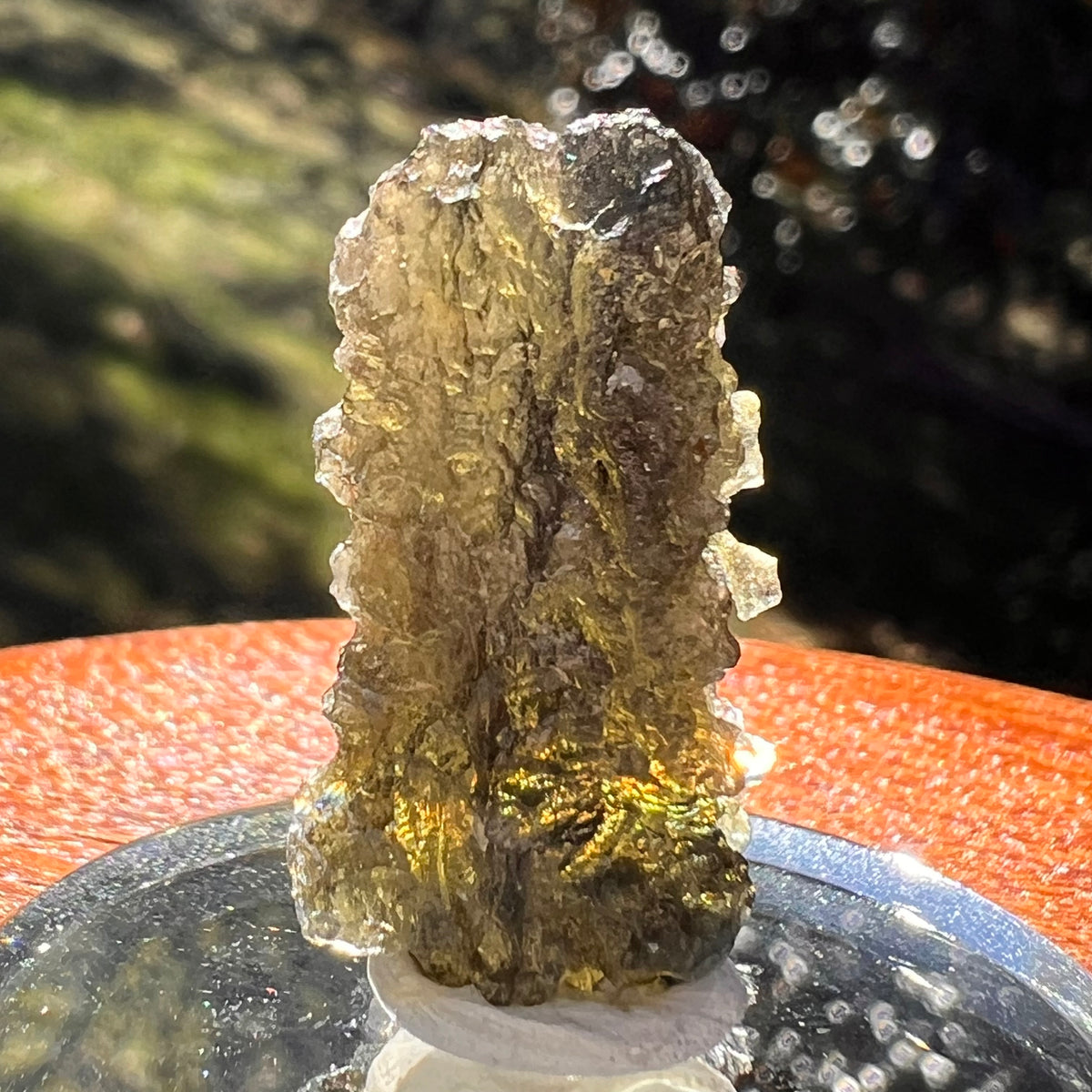 Moldavite 3.4 grams #2388-Moldavite Life