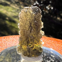 Moldavite 3.4 grams #2388-Moldavite Life