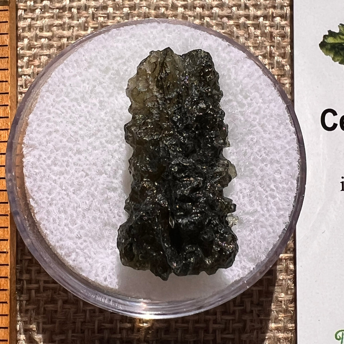 Moldavite 3.4 grams #2388-Moldavite Life