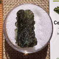 Moldavite 3.4 grams #2388-Moldavite Life