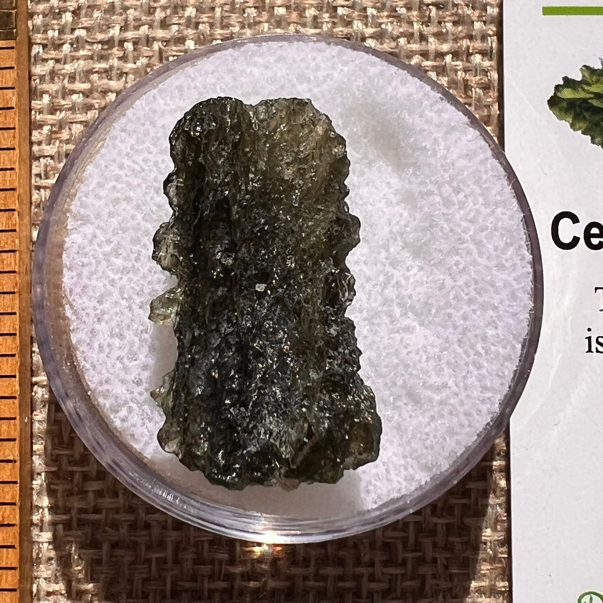 Moldavite 3.4 grams #2388-Moldavite Life