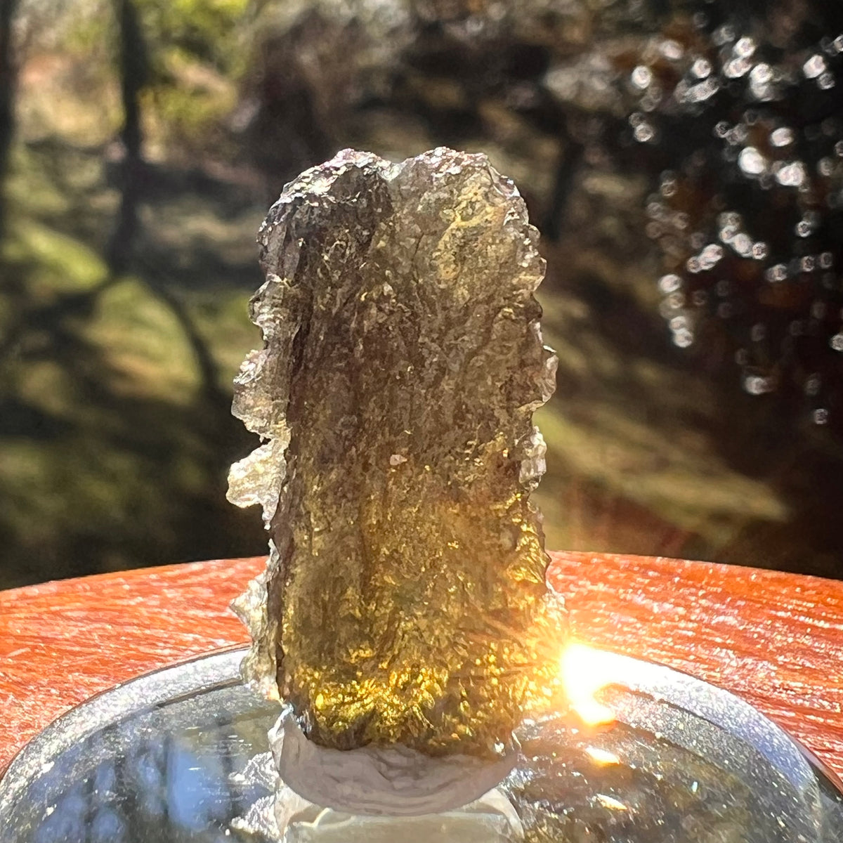 Moldavite 3.4 grams #2388-Moldavite Life
