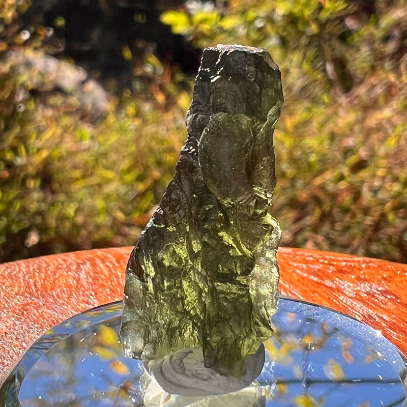 Moldavite 3.5 grams #2213-Moldavite Life