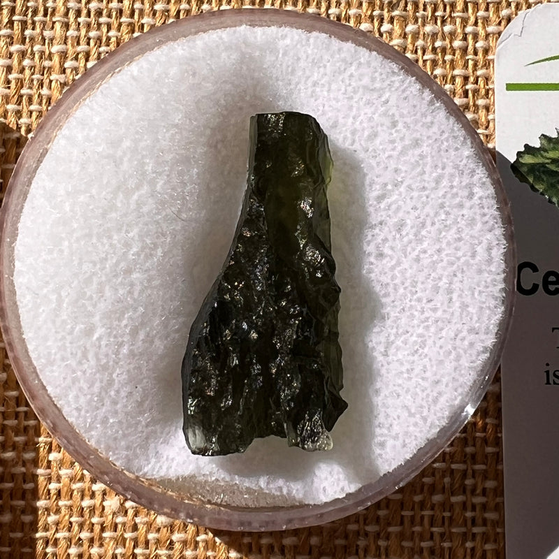 Moldavite 3.5 grams #2213-Moldavite Life